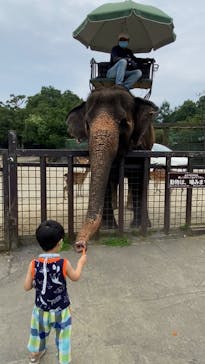 那須サファリパークに投稿された画像（2022/8/16）