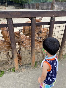 那須サファリパークに投稿された画像（2022/8/16）