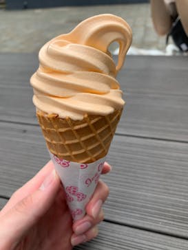 伊豆ぐらんぱる公園に投稿された画像（2022/8/16）