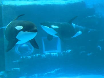 名古屋港水族館に投稿された画像（2022/8/16）