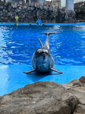 名古屋港水族館に投稿された画像（2022/8/16）