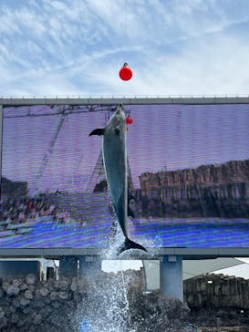 名古屋港水族館に投稿された画像（2022/8/16）
