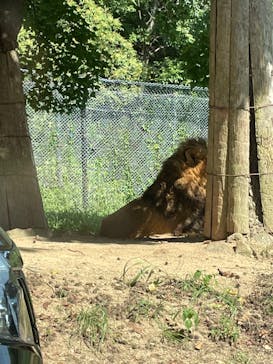 姫路セントラルパークに投稿された画像（2022/8/16）