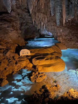 おきなわワールドに投稿された画像（2022/8/16）