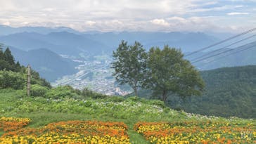 湯沢高原スキー場/パノラマパークに投稿された画像（2022/8/16）