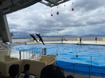 マリンワールド海の中道に投稿された画像（2022/8/16）