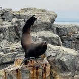 大分マリーンパレス水族館 「うみたまご」に投稿された画像（2022/8/16）