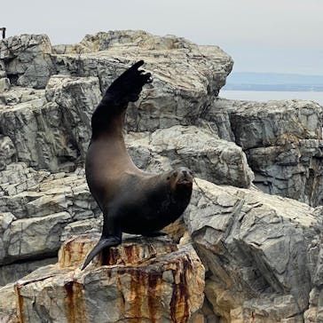 大分マリーンパレス水族館 「うみたまご」に投稿された画像（2022/8/16）