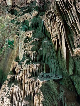 あぶくま洞に投稿された画像（2022/8/16）