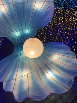 伊豆ぐらんぱる公園に投稿された画像（2022/8/16）