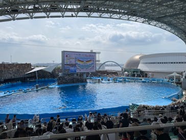 名古屋港水族館に投稿された画像（2022/8/16）