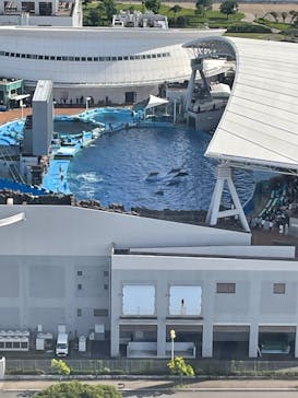 名古屋港水族館に投稿された画像（2022/8/16）