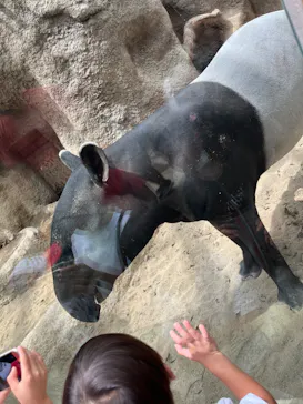 神戸どうぶつ王国に投稿された画像（2022/8/16）