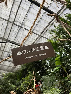 神戸どうぶつ王国に投稿された画像（2022/8/16）