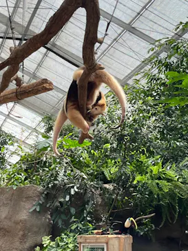 神戸どうぶつ王国に投稿された画像（2022/8/16）