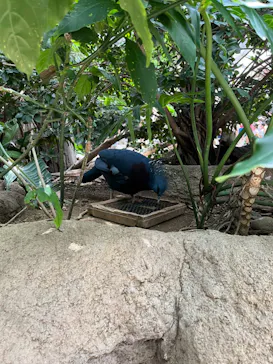 神戸どうぶつ王国に投稿された画像（2022/8/16）