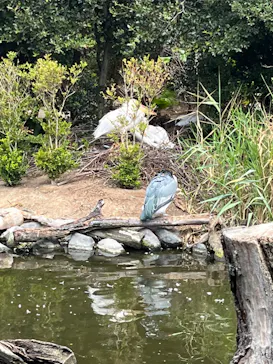 神戸どうぶつ王国に投稿された画像（2022/8/16）