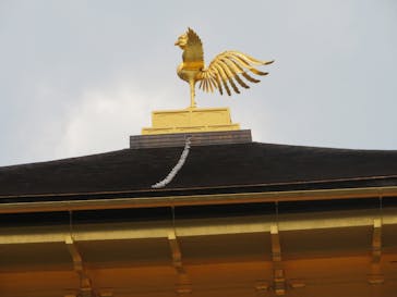 雅京都観光タクシーに投稿された画像（2022/8/16）