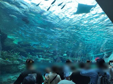 名古屋港水族館に投稿された画像（2022/8/16）