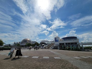 名古屋港水族館に投稿された画像（2022/8/16）