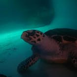 マリンワールド海の中道に投稿された画像（2022/8/16）