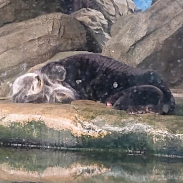 マリンワールド海の中道に投稿された画像（2022/8/16）