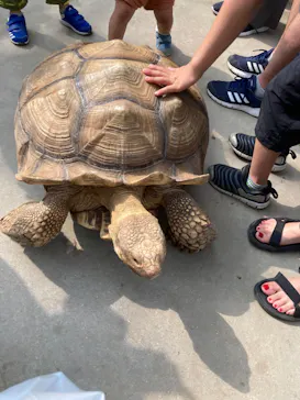 神戸どうぶつ王国に投稿された画像（2022/8/16）