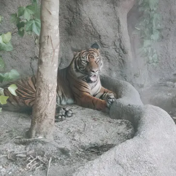 神戸どうぶつ王国に投稿された画像（2022/8/16）