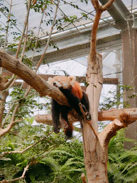 神戸どうぶつ王国に投稿された画像（2022/8/16）