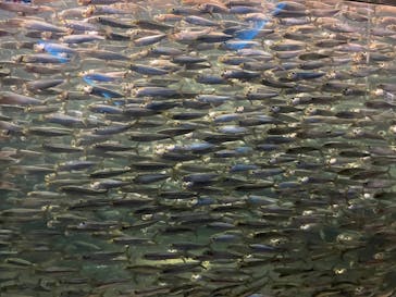 株式会社Gに投稿された画像（2022/8/16）