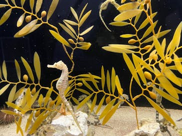 株式会社Gに投稿された画像（2022/8/16）