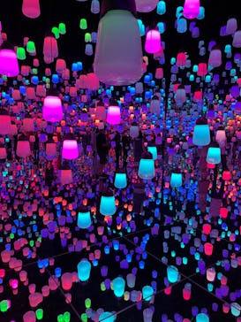 森ビル デジタルアート ミュージアム：エプソン チームラボボーダレスに投稿された画像（2022/8/16）