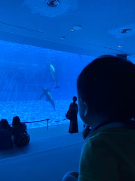 名古屋港水族館に投稿された画像（2022/8/16）