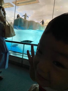 名古屋港水族館に投稿された画像（2022/8/16）