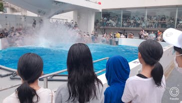 九十九島水族館海きららに投稿された画像（2022/8/16）