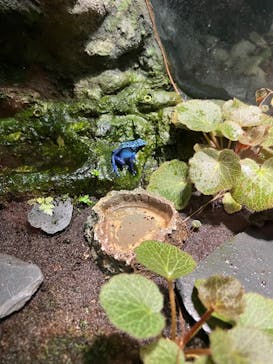 サンシャイン水族館に投稿された画像（2022/8/16）