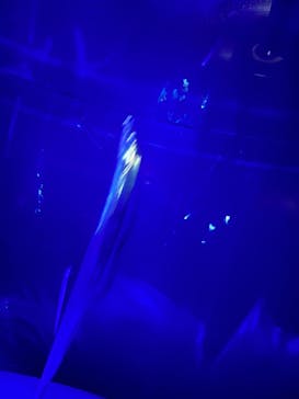 サンシャイン水族館に投稿された画像（2022/8/16）