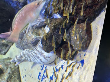 サンシャイン水族館に投稿された画像（2022/8/16）