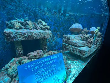 サンシャイン水族館に投稿された画像（2022/8/16）