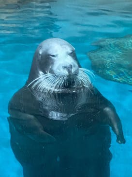 大分マリーンパレス水族館 「うみたまご」に投稿された画像（2022/8/16）