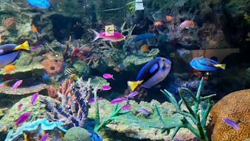 サンシャイン水族館に投稿された画像（2022/8/16）