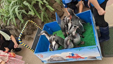 ゼロ距離水族館 伊勢シーパラダイスに投稿された画像（2022/8/16）
