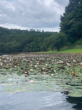 Develop SURF＆SEA（ディベロップ サーフ＆シー）に投稿された画像（2022/8/16）