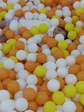 東京あそびマーレに投稿された画像（2022/8/16）