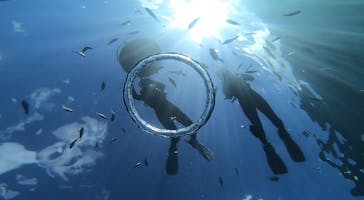 武藤潜水に投稿された画像（2022/8/16）