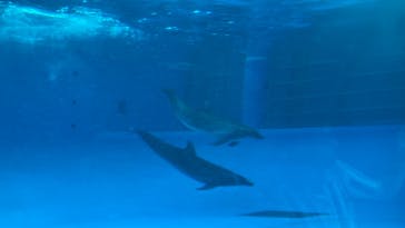 アクアワールド茨城県大洗水族館に投稿された画像（2022/8/16）