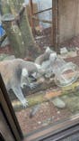 伊豆シャボテン動物公園に投稿された画像（2022/8/16）