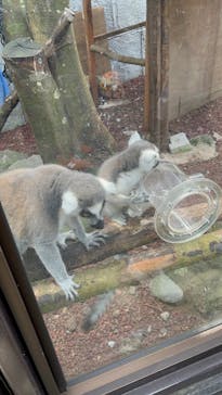 伊豆シャボテン動物公園に投稿された画像（2022/8/16）