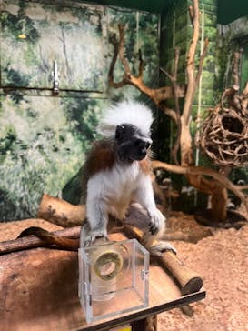 伊豆シャボテン動物公園に投稿された画像（2022/8/16）