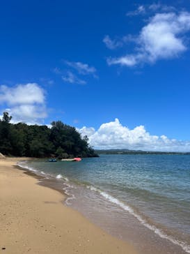 ハピネスマリン倶楽部に投稿された画像（2022/8/16）